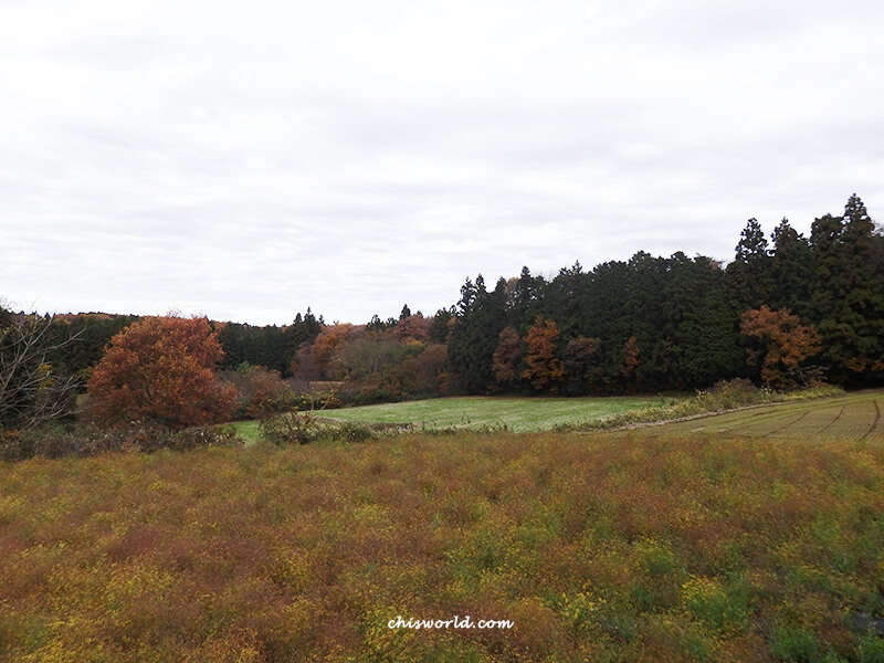 前往窯元橫山よこやま會經過鄉間小路