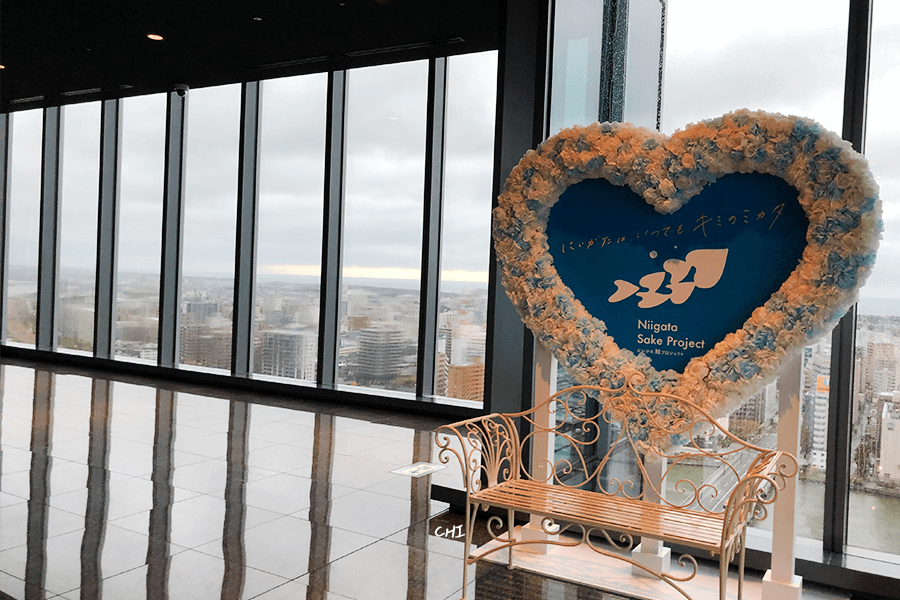 新潟夜景推薦 新潟日報展望室 戀愛打卡點